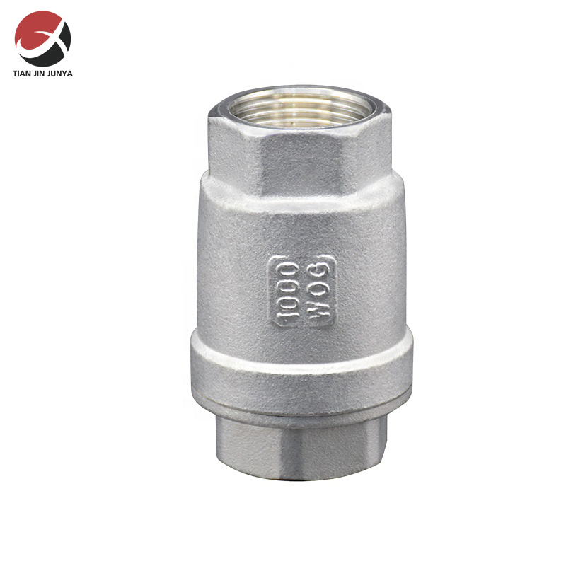 不鏽(xiu)鋼二片式彈(dàn)簧止回閥