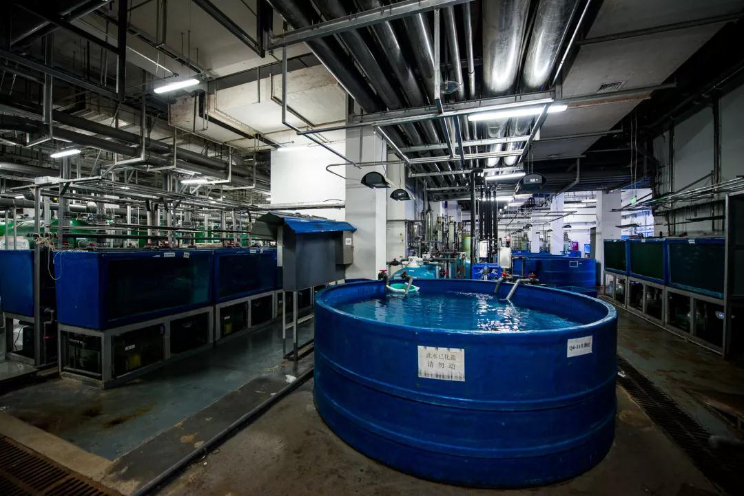 蠕動泵用(yong)于克服三(sān)種廢水問(wèn)題